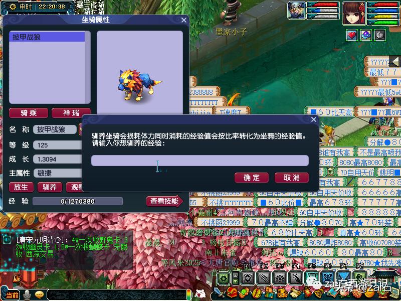 梦幻西游坐骑酒肆是固定坐骑的吗,梦幻西游骑坐骑不显示坐骑