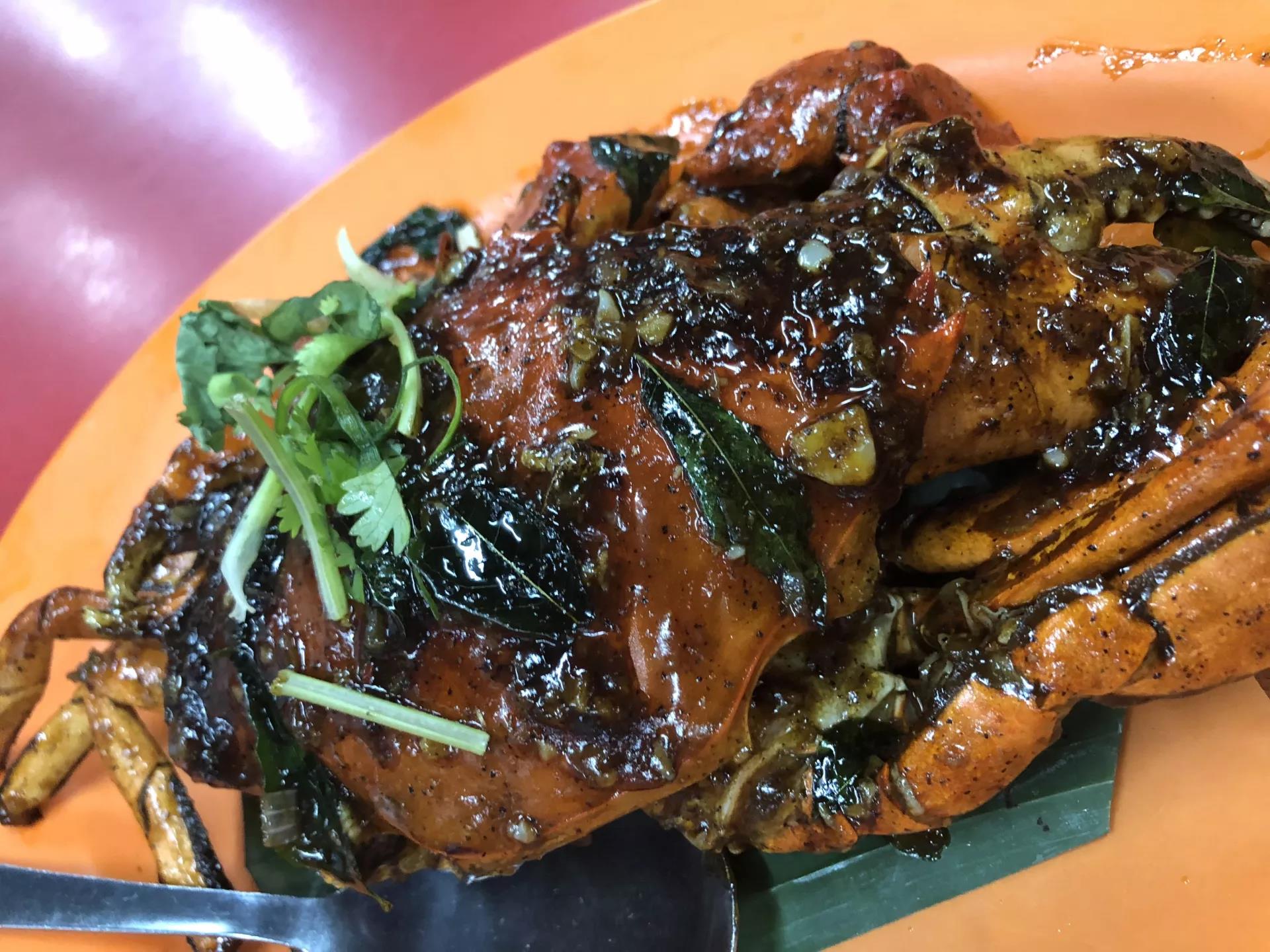 钱猫猫王者荣耀,钱猫猫的视频