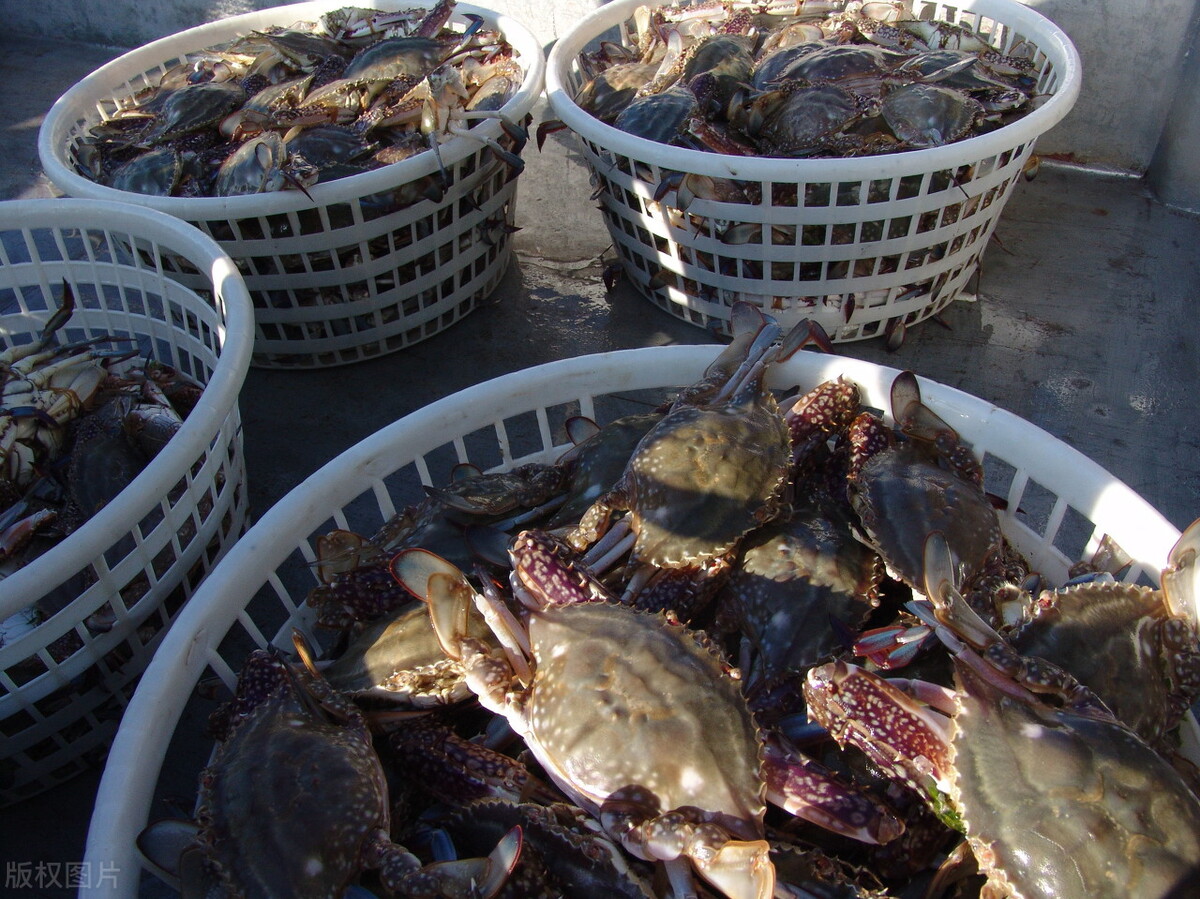 嵊泗列岛有什么景区,中国沿海旅游嵊泗列岛