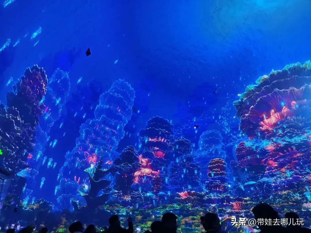 天津海昌极地海洋公园冬天营业吗,天津海昌极地海洋公园游玩攻略