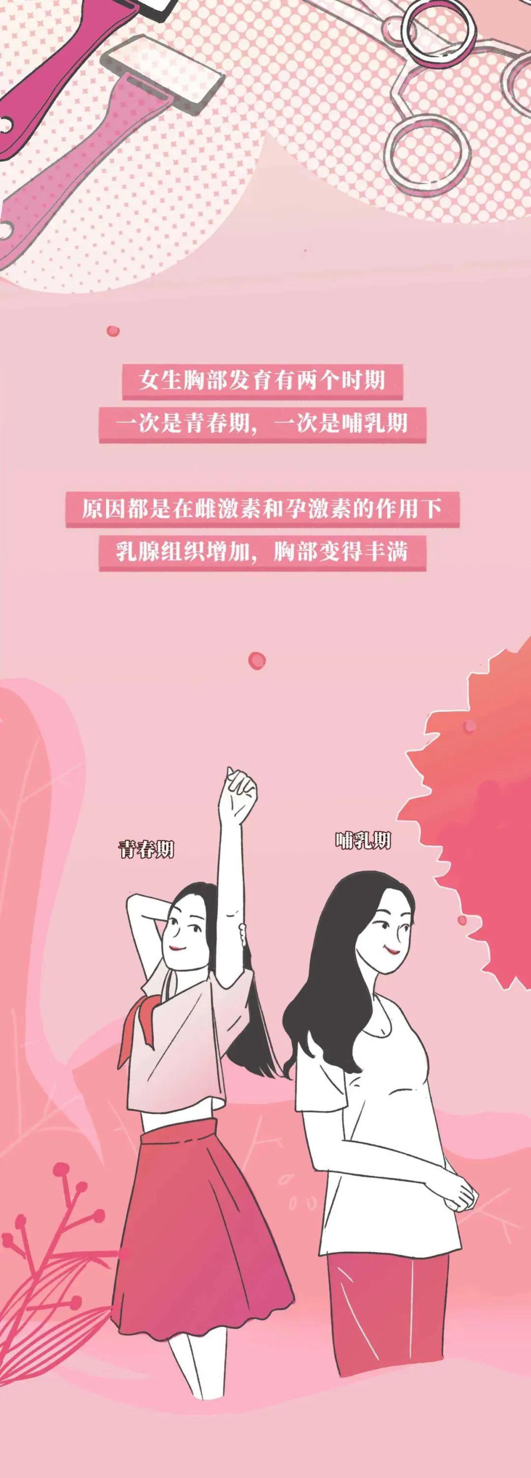 正常乳房有哪几种,乳房整形有哪几种类型