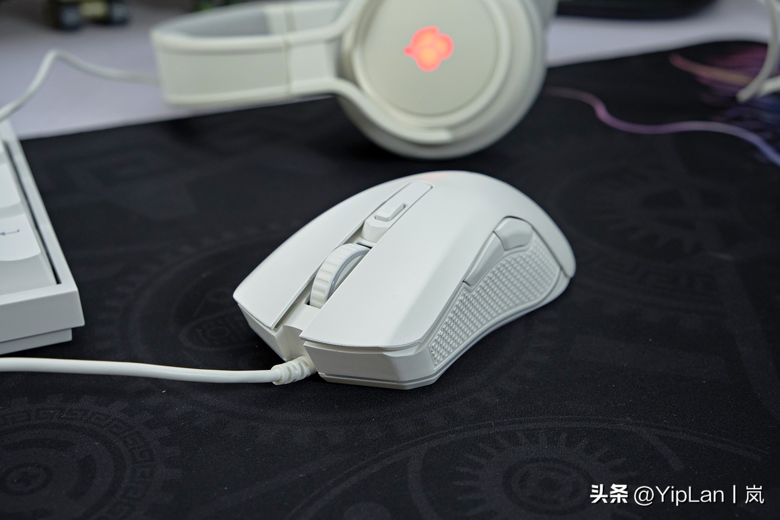 cherry澶栬鎺ㄨ崘,鍞湁淇′话涓嶅彲杈滆礋