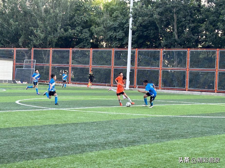 鹿泉市获奖视频,河北鹿泉篮球冠军名单