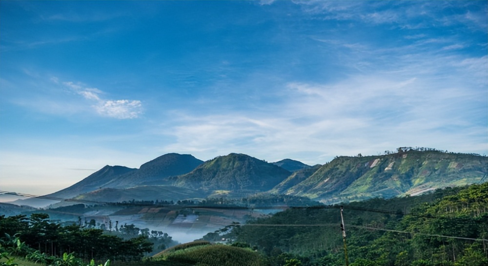 25岁女人吃银耳好吗,女人为什么过了30岁就要多吃桂圆