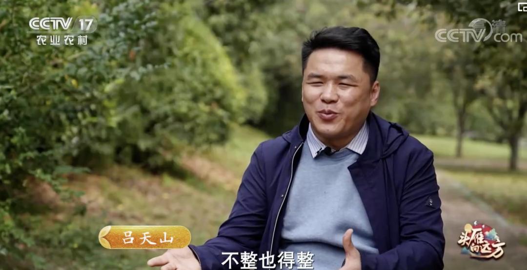 5万只鸡蛋一年能赚多少钱,一年卖1000万个鸡蛋