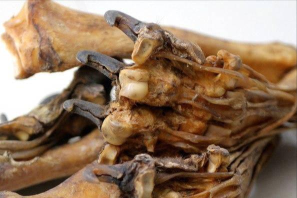 喝老虎酒有什么功效,老虎的骨头对人体有害吗