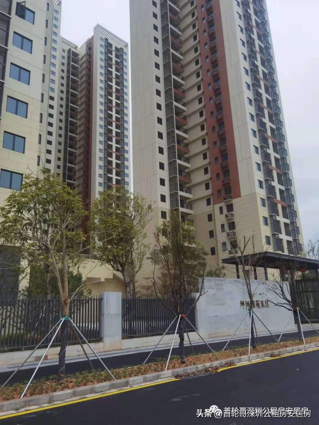 1.9万户认租，坪河雅苑等762套市级公租房认租名单公布