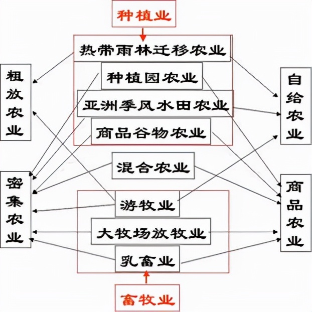 农村的农民是怎样发家致富的,农民怎么才能有出路
