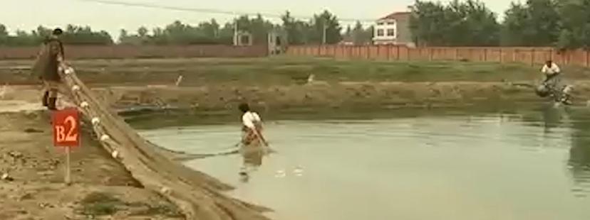 男子花20万买受伤鲶鱼,男子花20万买了一条受伤的鱼