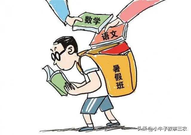 暑假补习感悟,暑期辅导感想