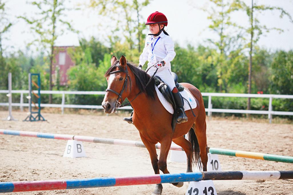 马术夏令营山东,马术夏令营深圳7天
