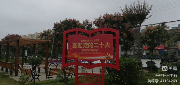 平安淮滨新变化丨淮滨县栏杆街道:喜迎二十大,夸夸我的家乡王湾新变化