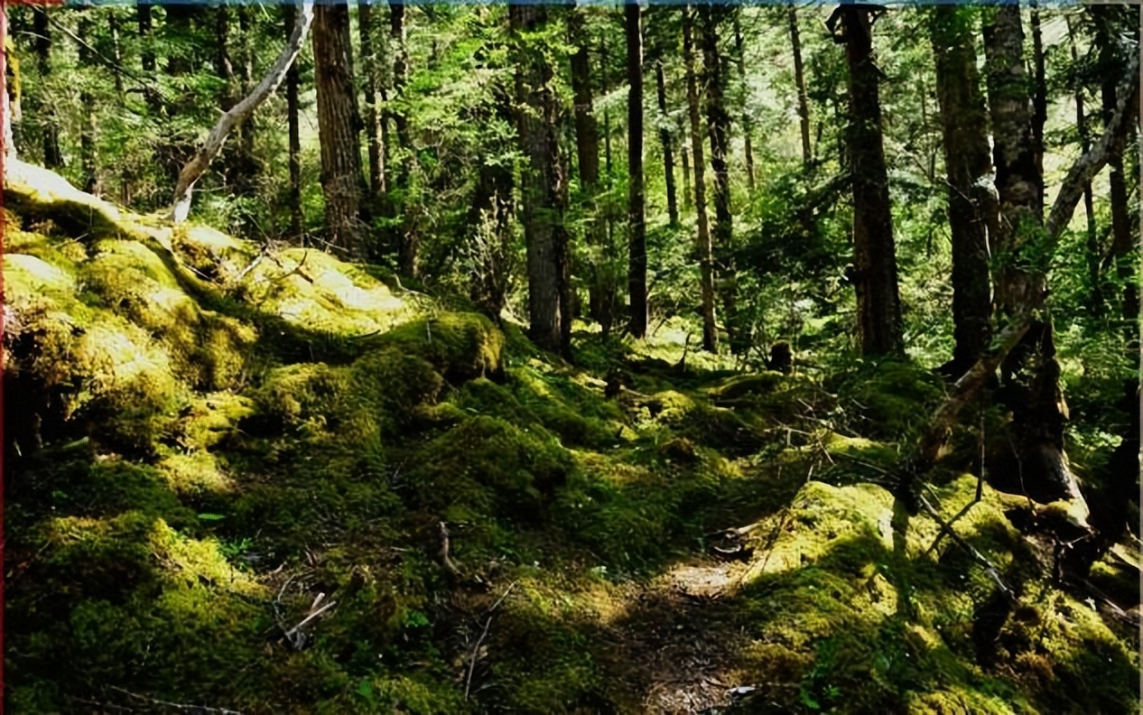 1988年农民救歼6飞行员,1988年被江西农民救起来的飞行员