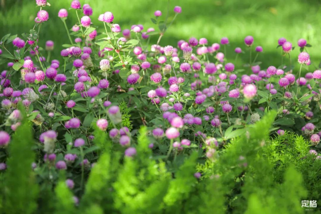 深圳百米长「纯白登山梯」，打卡绝了