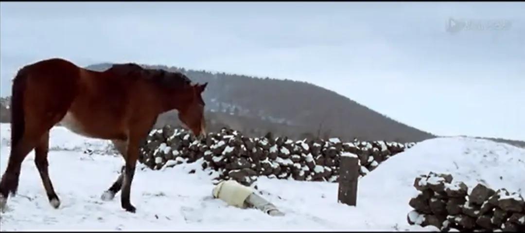 电影推荐糖果,方糖电影2017年