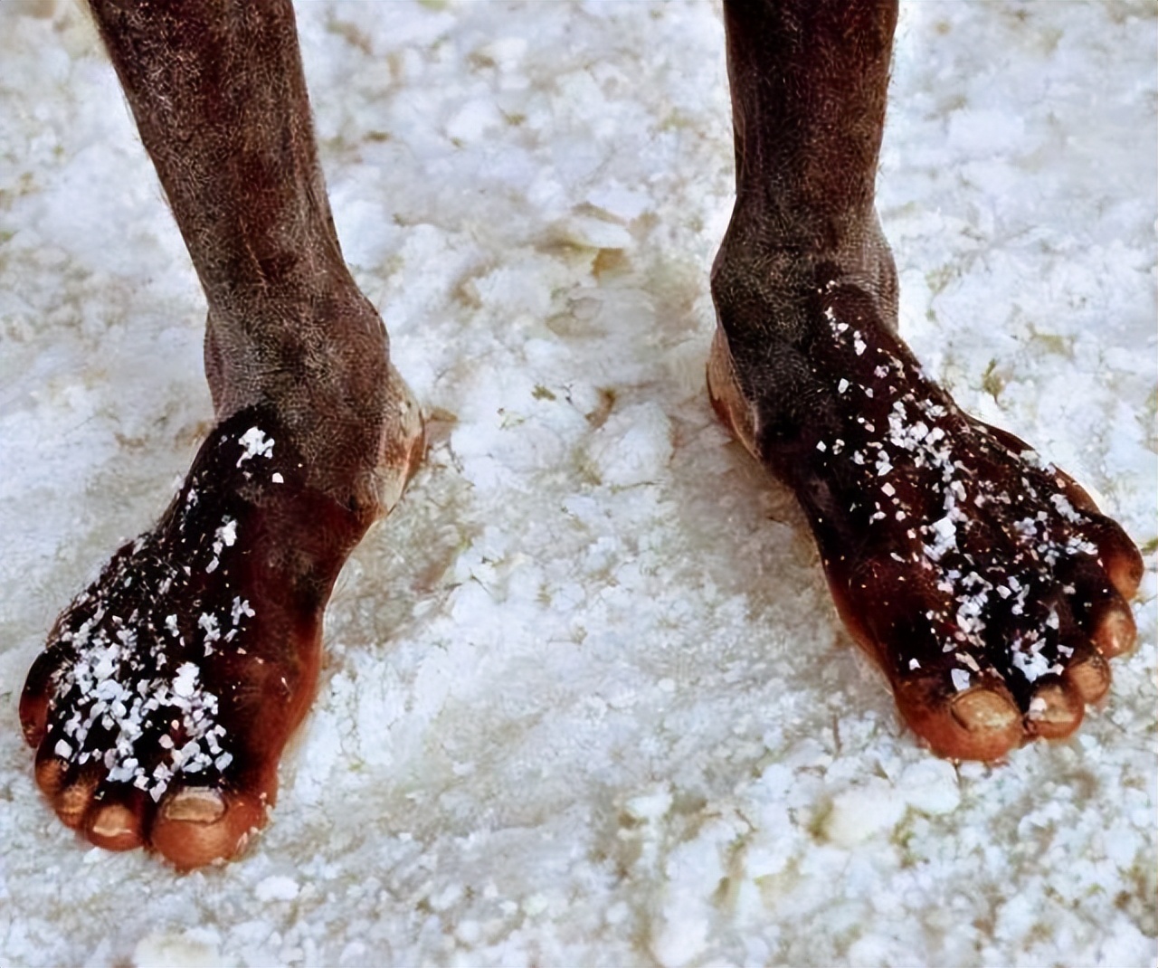 日薪60元的非洲采盐人，用命换钱，几年时间皮肤溃烂、耳聋失明