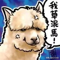 缠论股票知识会讲解吗,缠论动力学