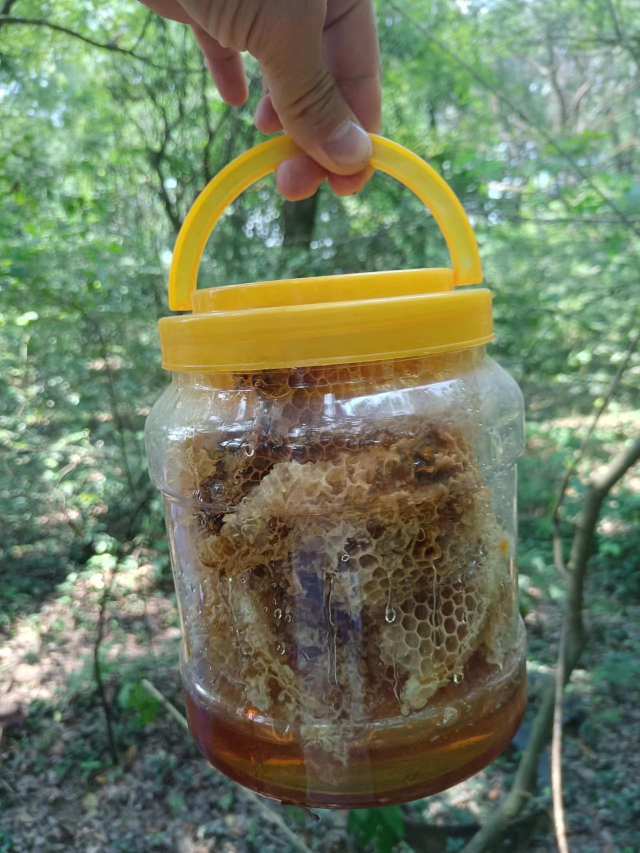 真正的土蜂蜜是多少钱一斤,正宗的土蜂蜜大概多少钱一斤2017