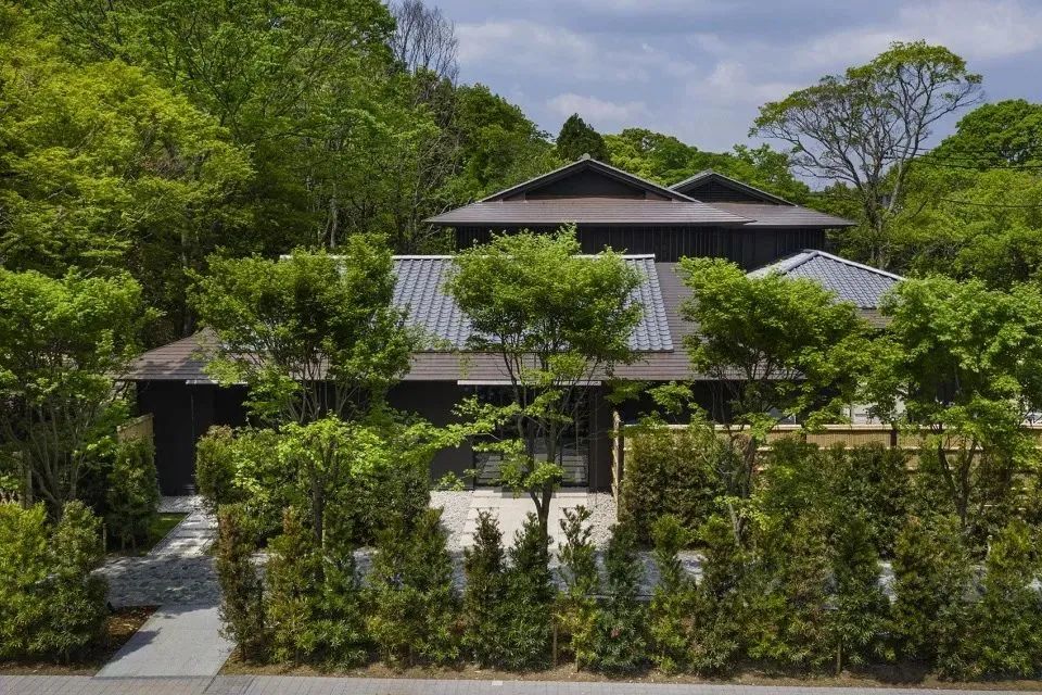 日本新宿东京哥斯拉主题酒店,日本旅游选酒店小技巧
