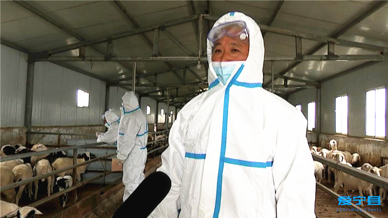 春季动物防疫工作开展情况,甘肃庆阳宁县防疫最新消息