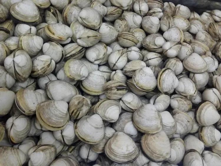 丹东附近的避暑好地方,丹东出去避暑自驾游3-4天最佳路线