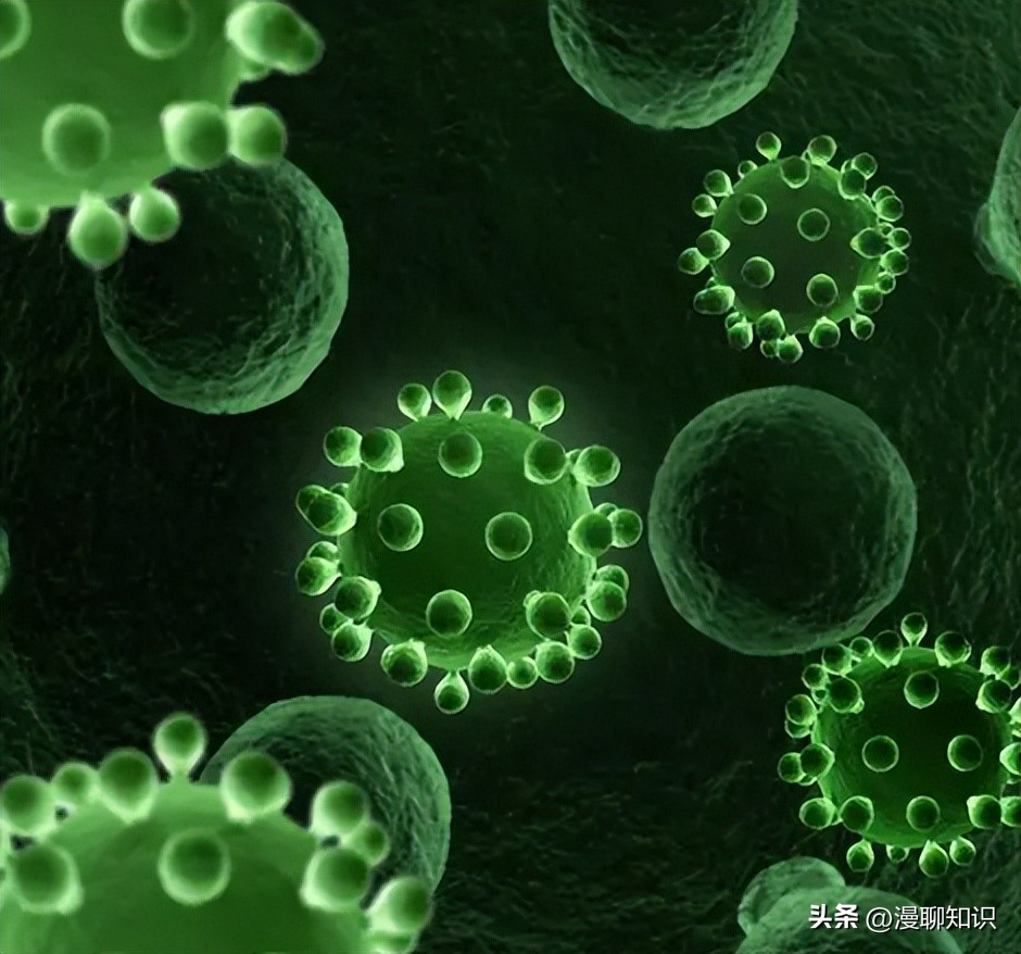 妇阴康洗剂的用途,妇阴康洗剂是抗生素药吗