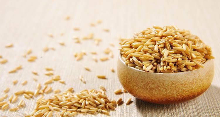 谷草转氨酶和谷丙转氨酶哪个难降,谷丙转氨酶与谷草转氨酶升高区别