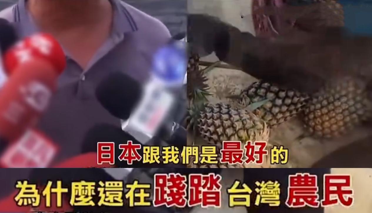 台湾水果商怒斥台当局,台湾凤梨果农斥蔡当局不要乱讲