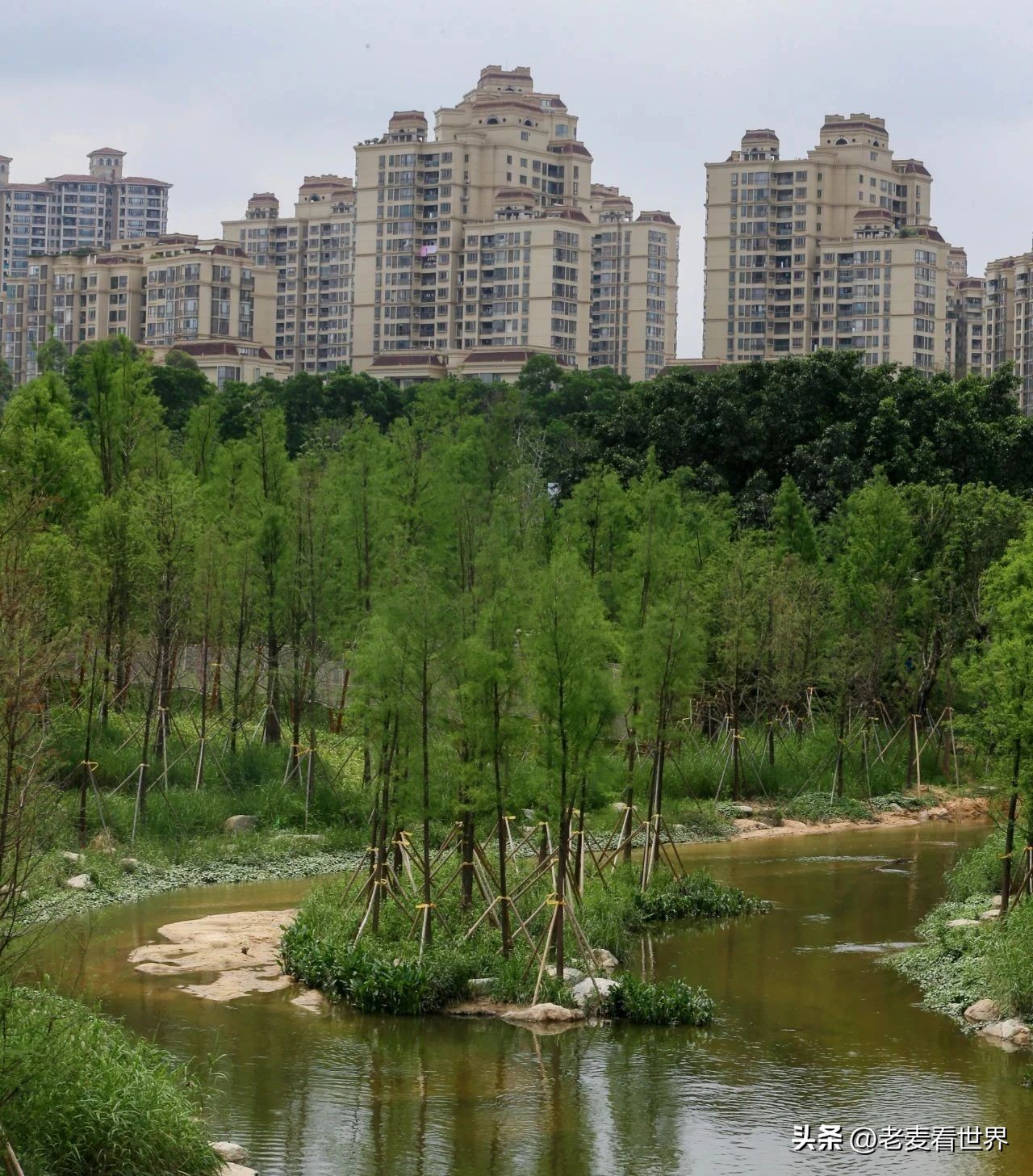 打卡公园东莞游玩攻略,东莞森林公园攻略