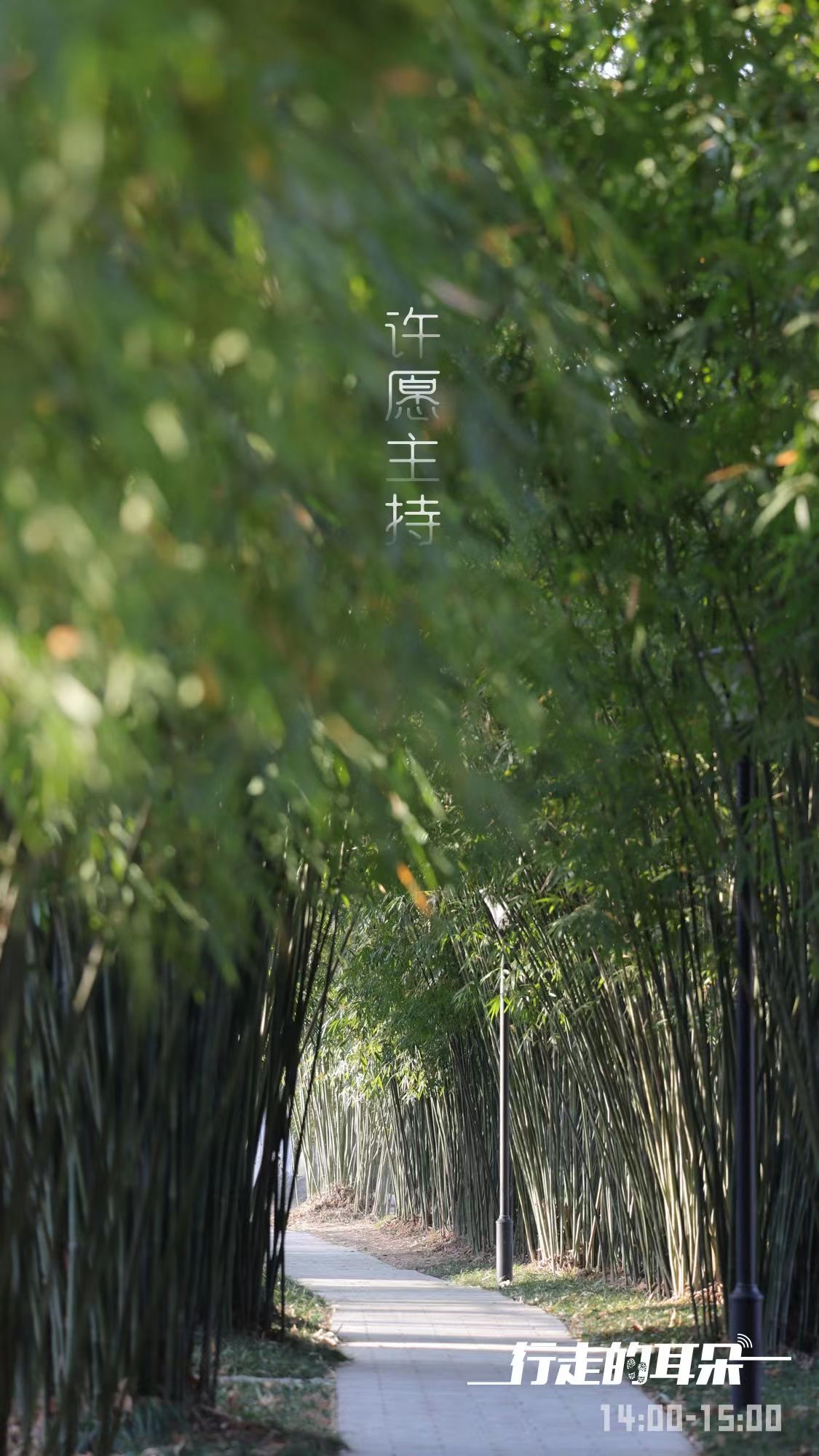 欢乐谷踏青赏春单人全日票,上海欢乐谷踏青活动