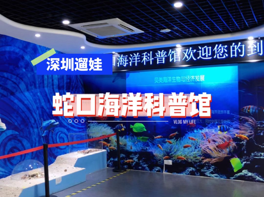 深圳南山真的那么强吗,深圳南山强吗