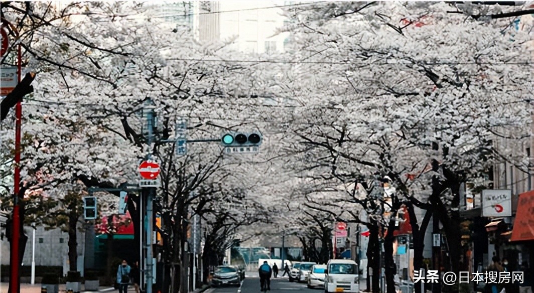 为什么日本的护照免签多,为什么日本人全球免签