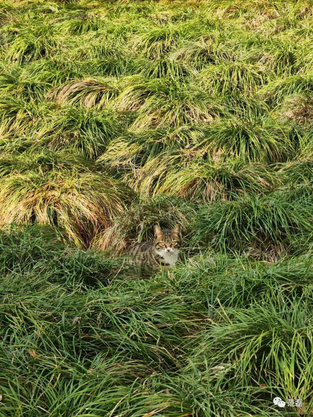血泪换来的教训,买相机亏了怎么办