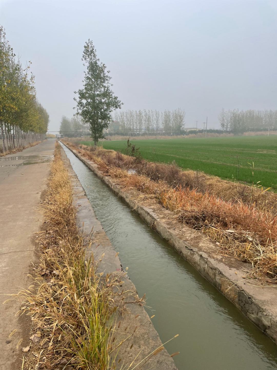 董董骑行山东,山东菏泽巨野县怎么样