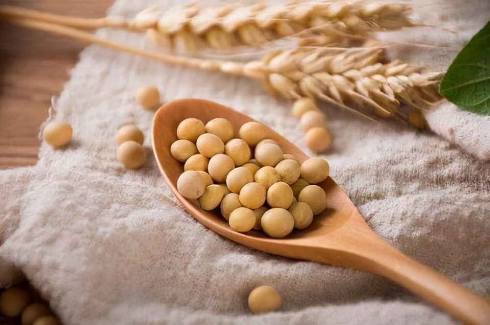 适合50岁女人吃天然黄体酮食物,6种富含天然黄体酮的食物