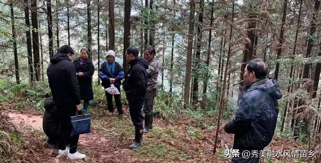 三防镇林业站：推行“三心”服务模式，打通服务群众最后一公里