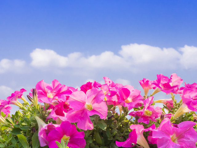 如何培养思考习惯表达能力,8种方法帮你提升表达能力