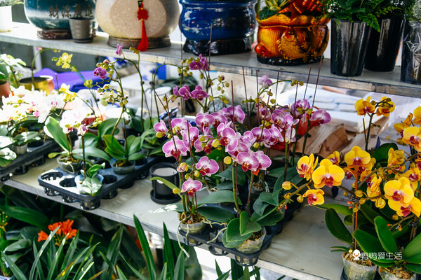 厦门最值得吃的海鲜市场是哪里,厦门八市烟火味大排档