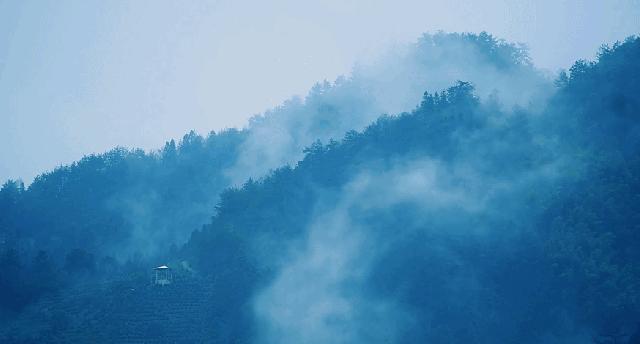 杭黄高铁到黄山景区,杭黄高铁宁波到黄山