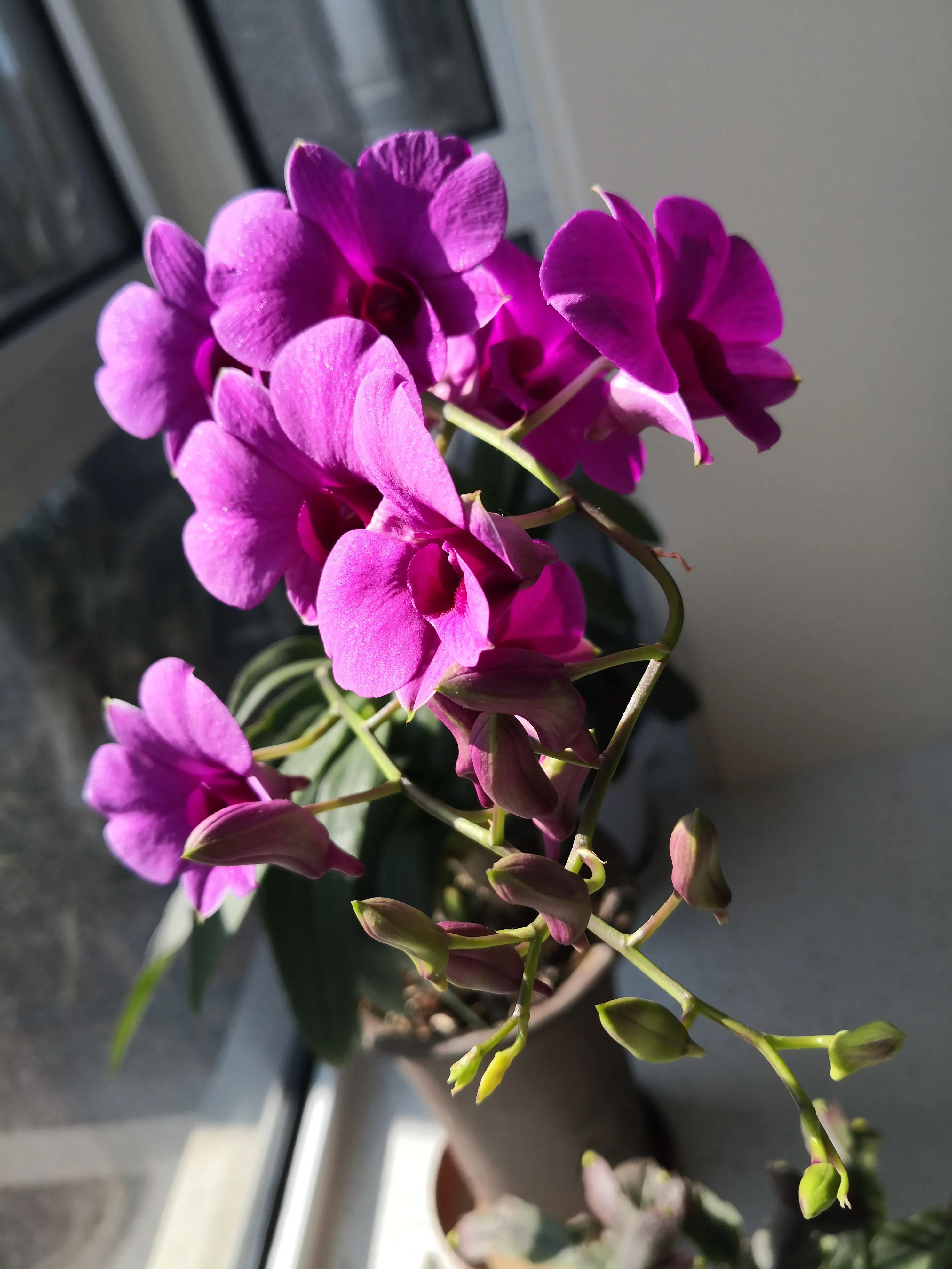 中国足球30,中国足球24