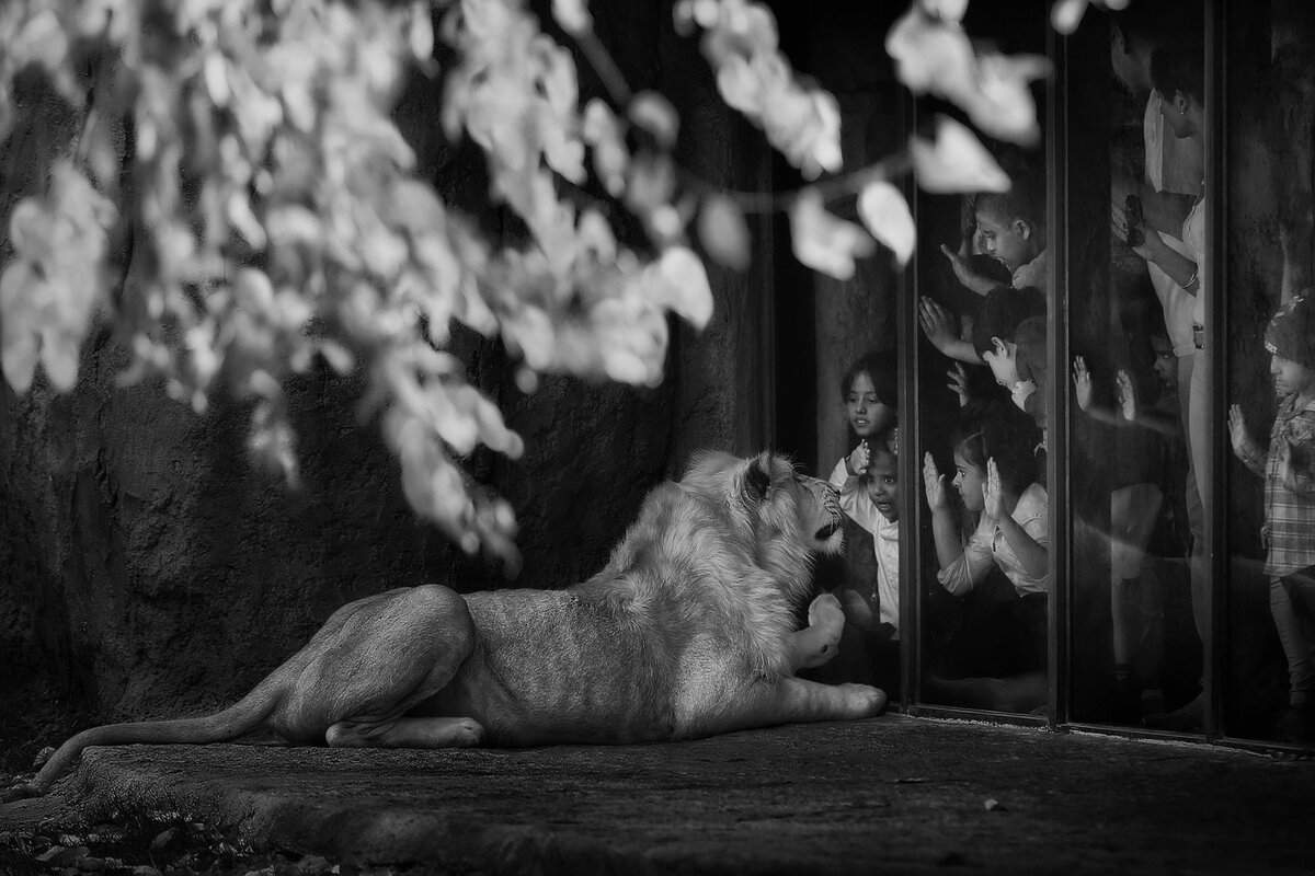 经典的摄影作品经久不衰,曾经经典的摄影作品