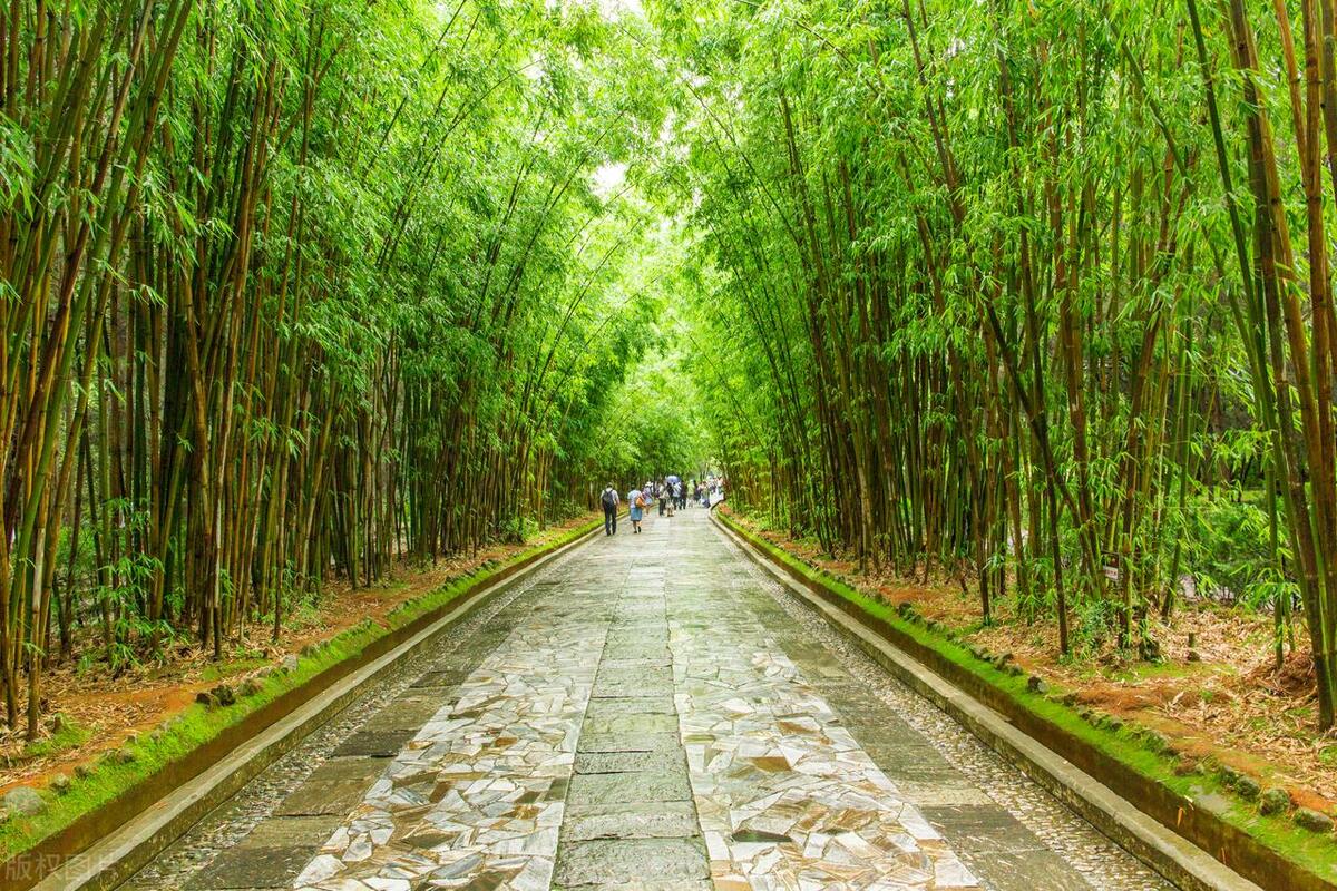 看看这篇文章，“换轴转筒”，提升认知高度