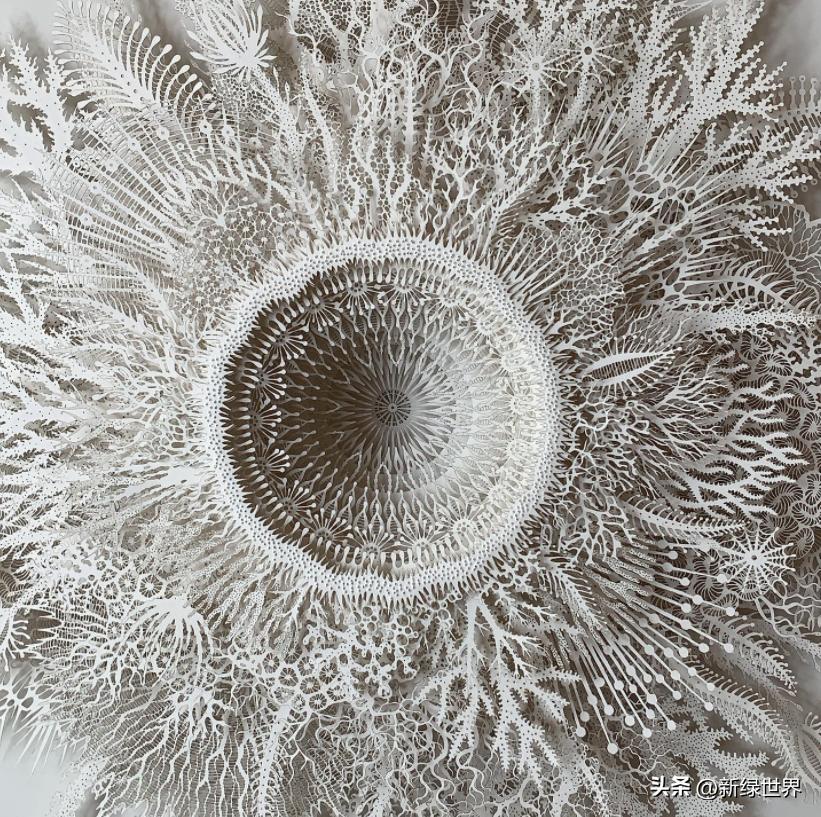 纸艺作品绘画,千变万化的纸艺术作品