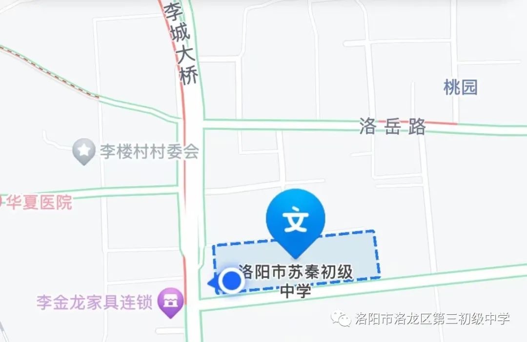 素质教育结硕果,素质教育特色学校创建实施方案