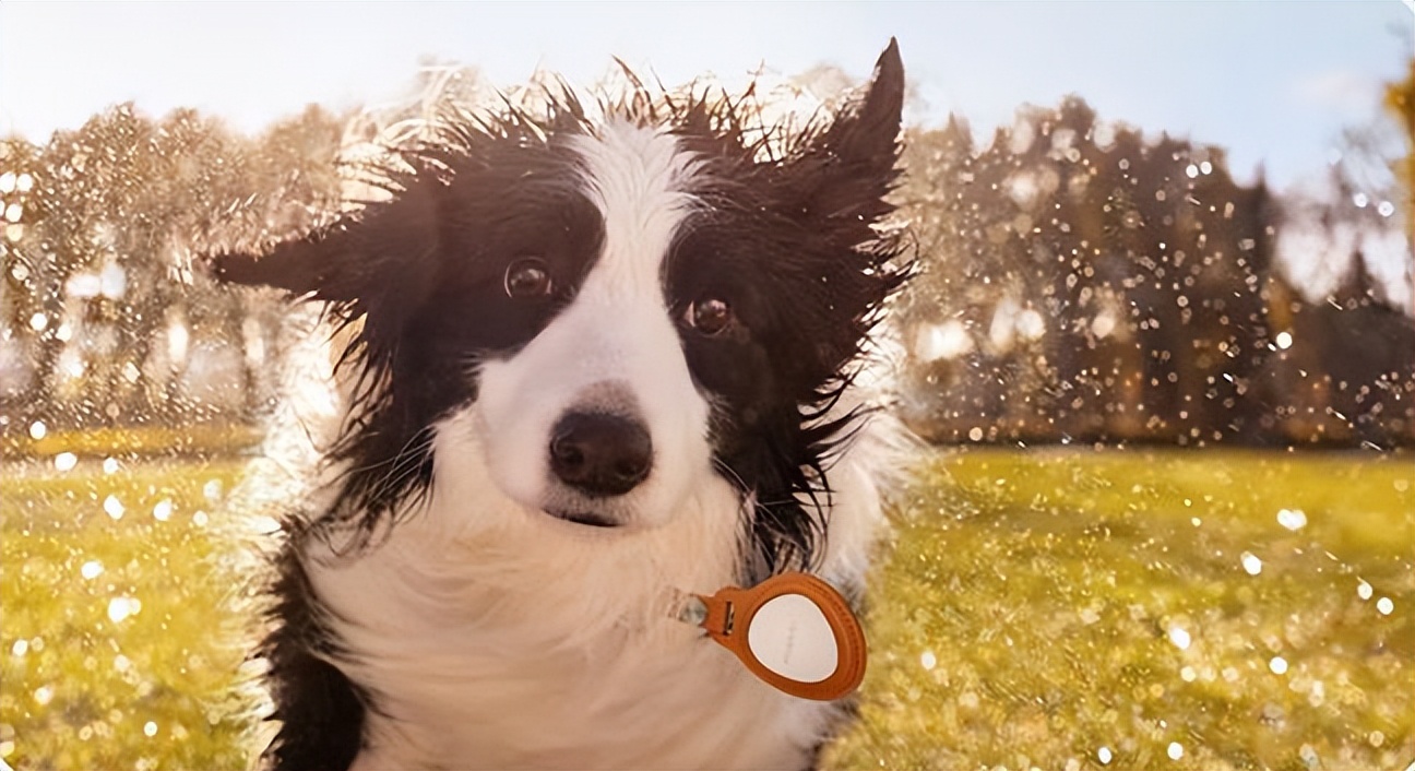 华为大屏性价比手机,华为nova7pro数码变焦