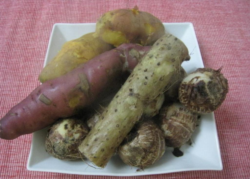 10岁男孩被奶奶喂出痛风，走路要用拐杖，医生：别吃太好了