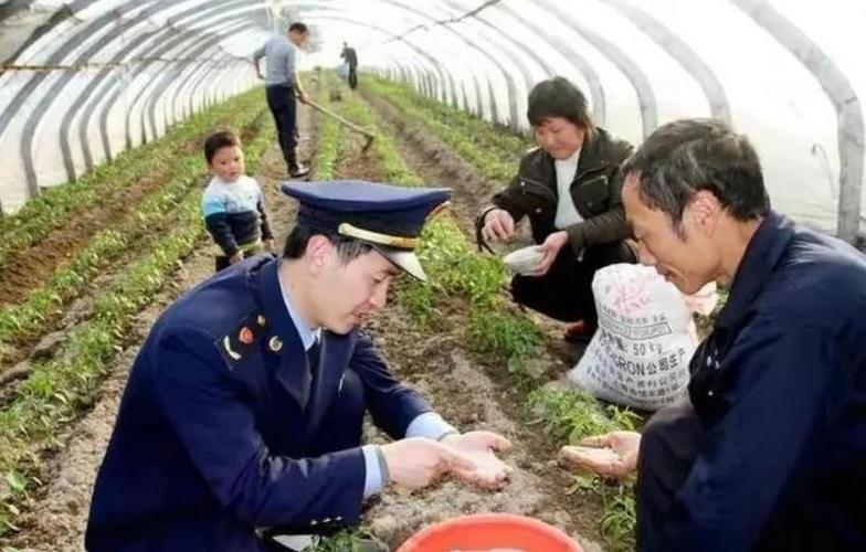 专家建议农村不准种菜养鸡鸭,地方政府有权力禁止农民养鸡鸭吗