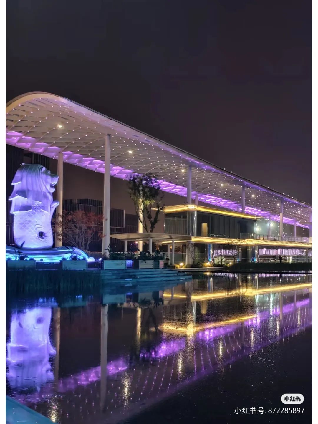 前方高能要注意回避吗,前方高能小技巧