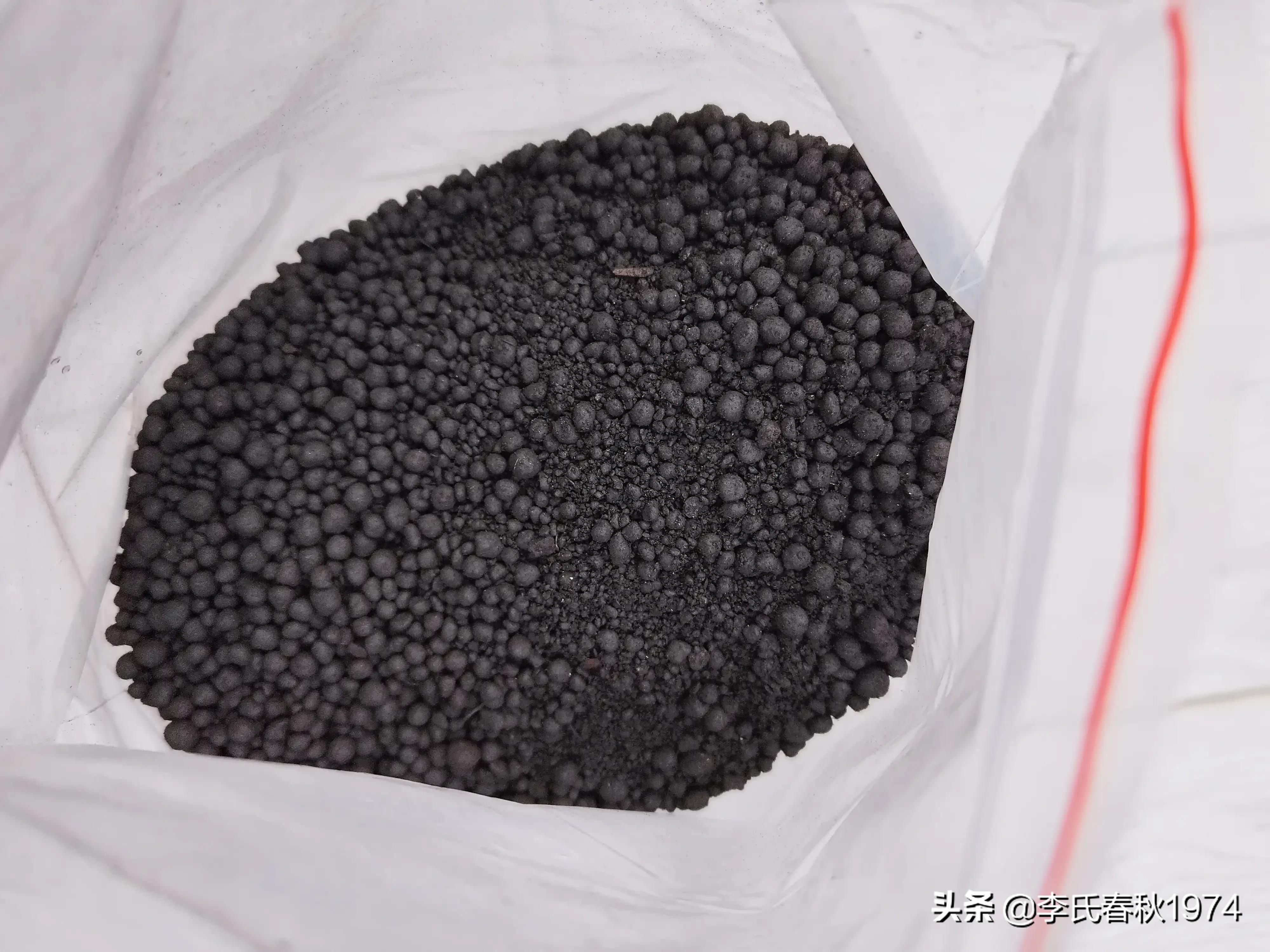 长藤绿萝绿植盆栽打理,绿植绿萝盆栽室内长藤客厅