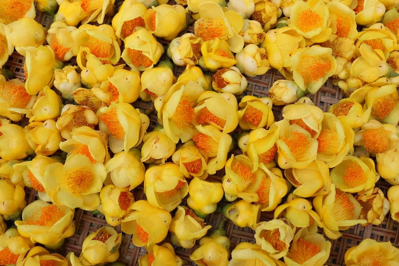 昂贵花卉100种,十种最贵的花